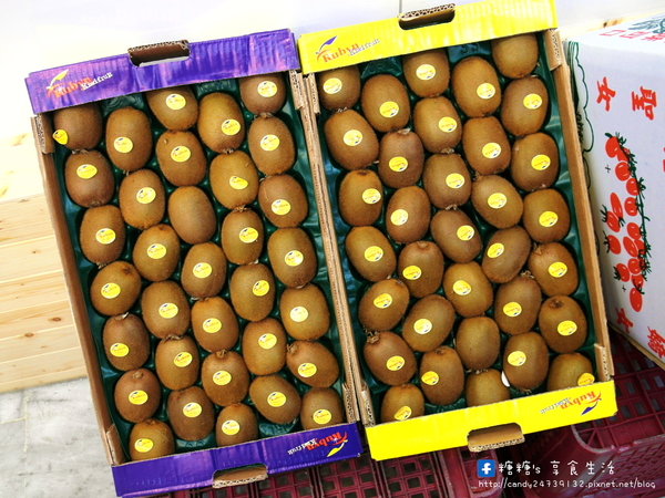 麻古茶坊(台中河南店):〖台中│美食〗麻古茶坊(台中河南店) ❤ 來自高雄的人氣手搖飲料!!使用新鮮水果入料,茶香甘甜,波霸Q彈帶勁!!