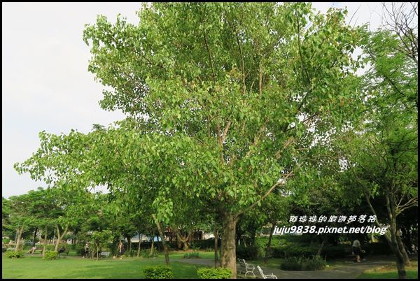 山仔頂公園34.JPG