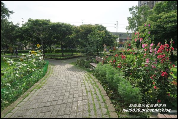山仔頂公園59.JPG
