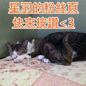 鐵熊二樂：※ 鐵熊二樂 ※【星羽是吃貨-台中南區】台中南區明亮可愛火鍋店，牛奶起司鍋好濃郁好好喝，乳酪絲跟冬粉簡直絕配~!!!!