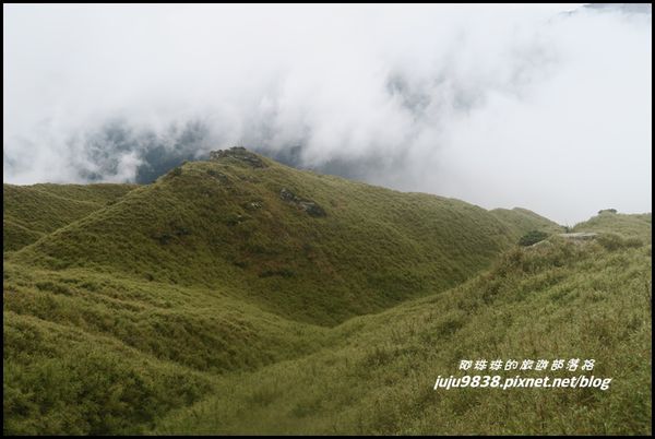 小奇萊步道55.JPG
