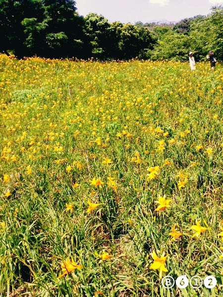 B612_20160528_144442