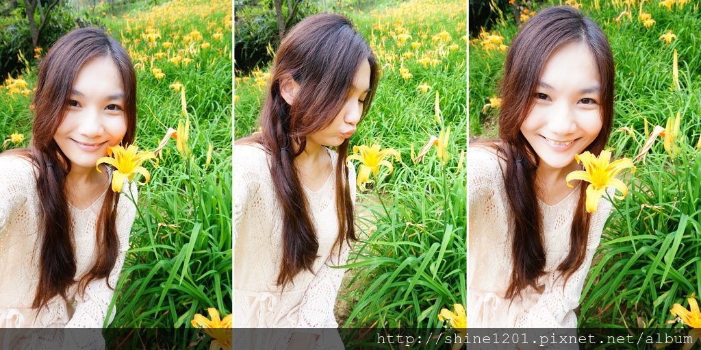 台中金針花花季 沐心泉休閒農場露營區.賞櫻.賞楓.賞桐花,賞金針花