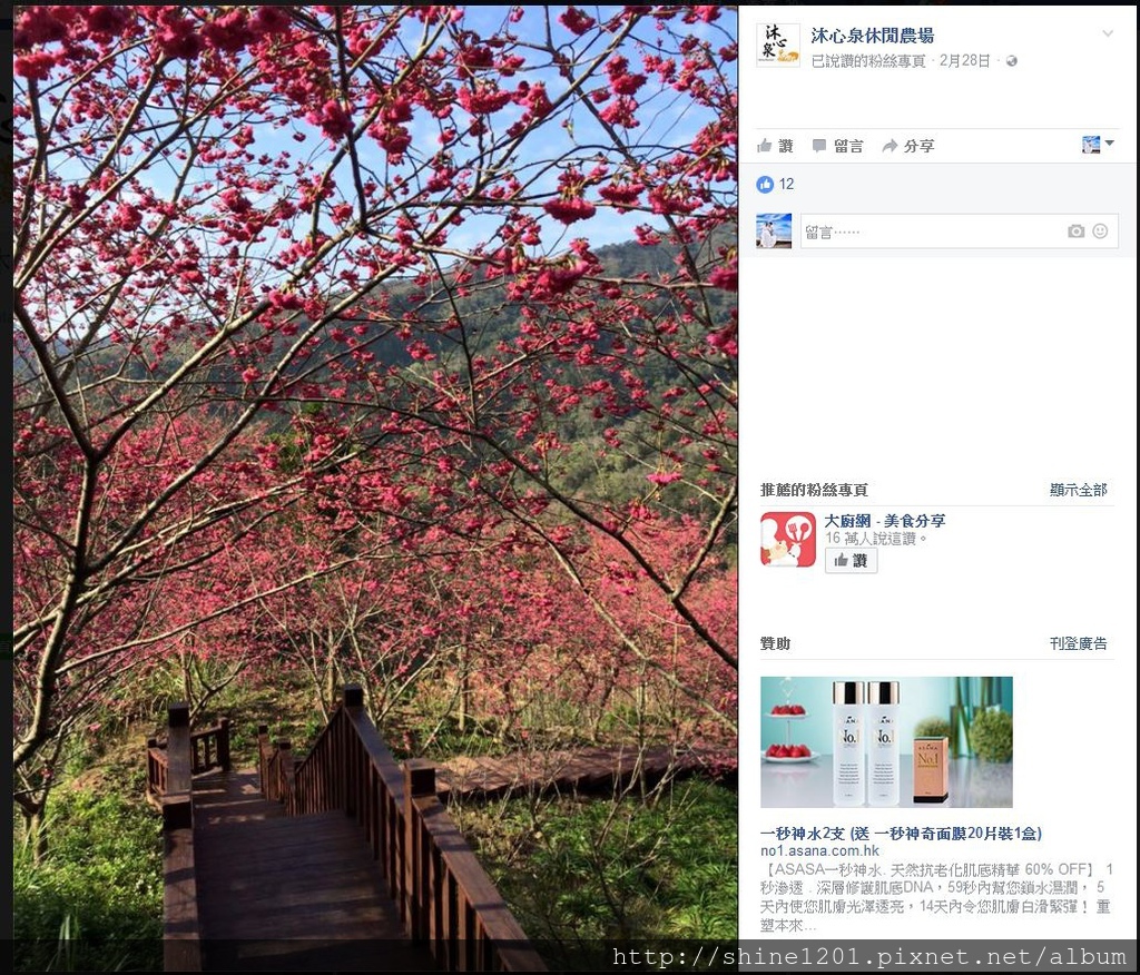 台中金針花花季 沐心泉休閒農場露營區.賞櫻.賞楓.賞桐花,賞金針花