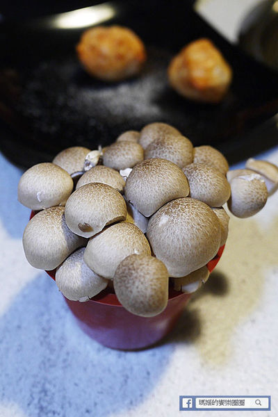 可利亞石頭火鍋:◆台北松山。捷運南京三民【可利亞石頭火鍋Koriya】酷聖石&哈根達斯冰淇淋吃到飽。松山區石頭火鍋。老字號重新開幕