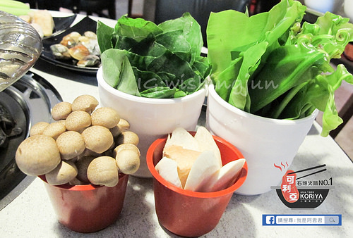 可立亞石頭火鍋_阿君君-6430