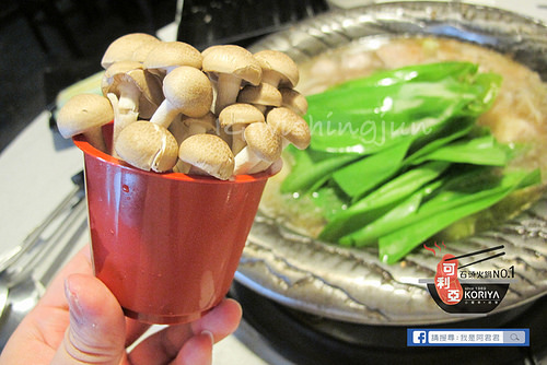 可立亞石頭火鍋_阿君君-6460