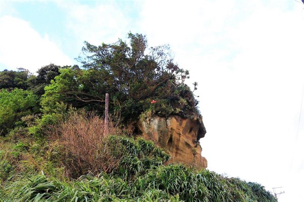 象鼻岩 深澳岬角：【新北市景點】欣賞台灣北海岸的自然景觀象鼻岩~石化的大象、坑坑巴巴的蕈狀岩、還有番仔澳酋長岩