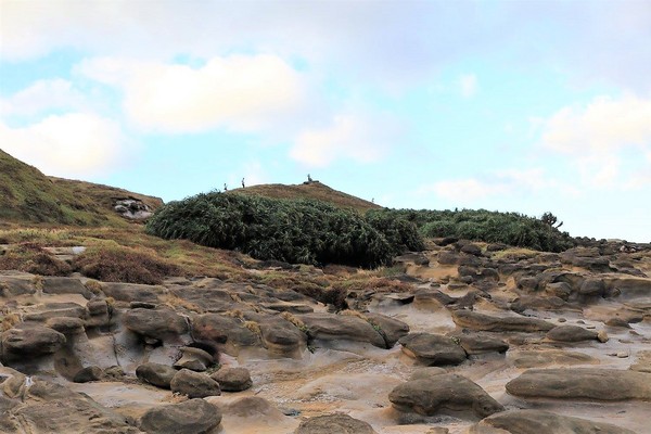 象鼻岩 深澳岬角：【新北市景點】欣賞台灣北海岸的自然景觀象鼻岩~石化的大象、坑坑巴巴的蕈狀岩、還有番仔澳酋長岩