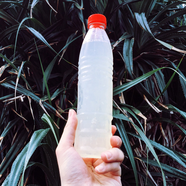 深澳番仔澳象鼻洞：象鼻岩｜瑞芳深澳海港小秘境｜來深澳絕不能錯過的阿華鯊魚羹