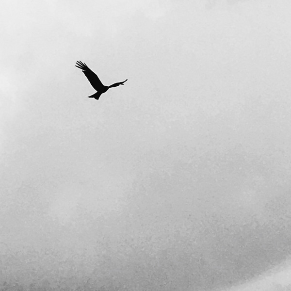 深澳番仔澳象鼻洞：象鼻岩｜瑞芳深澳海港小秘境｜來深澳絕不能錯過的阿華鯊魚羹