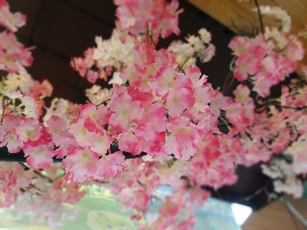 【高雄/新興區】咲樂茶房