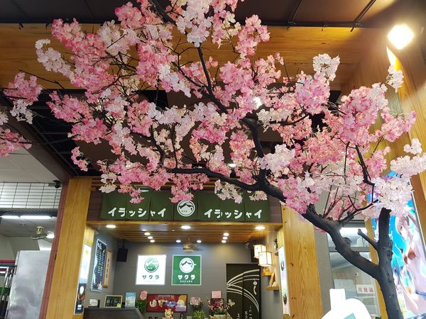 【高雄/新興區】咲樂茶房