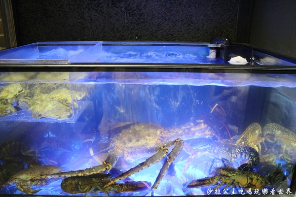 大釧鍋物：放開那隻龍蝦『大釧鍋物』頂級涮涮鍋/捷運南京復興火鍋