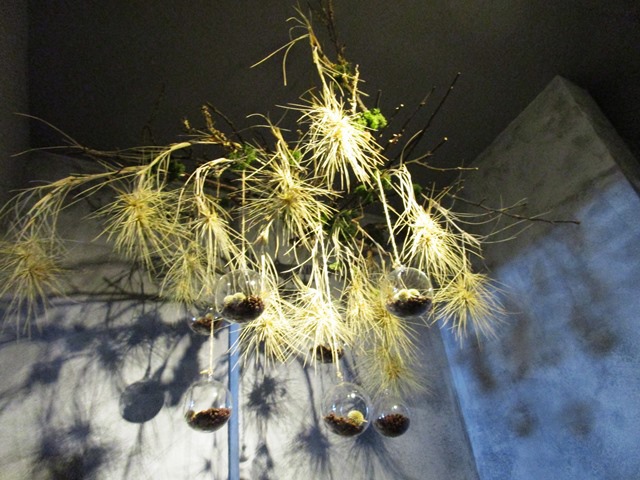 2016-8-25內湖一日 084.JPG