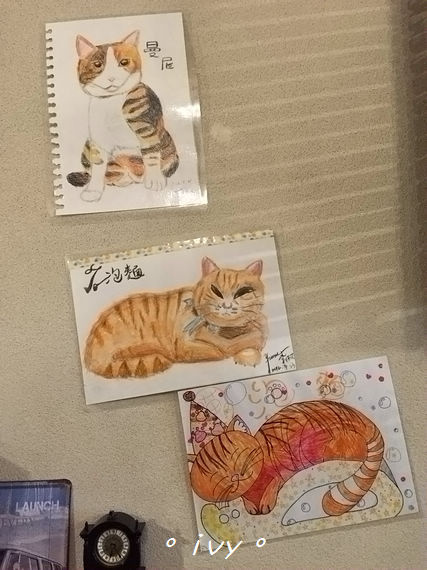 貓町日式簡餐：新竹東區。貓町  日式、洋食 創意料理