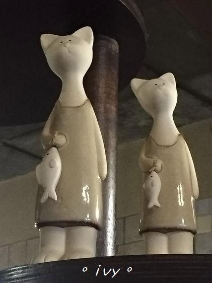 貓町日式簡餐：新竹東區。貓町  日式、洋食 創意料理