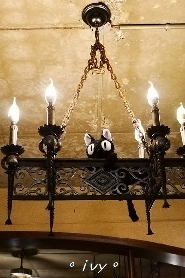 貓町日式簡餐：新竹東區。貓町  日式、洋食 創意料理