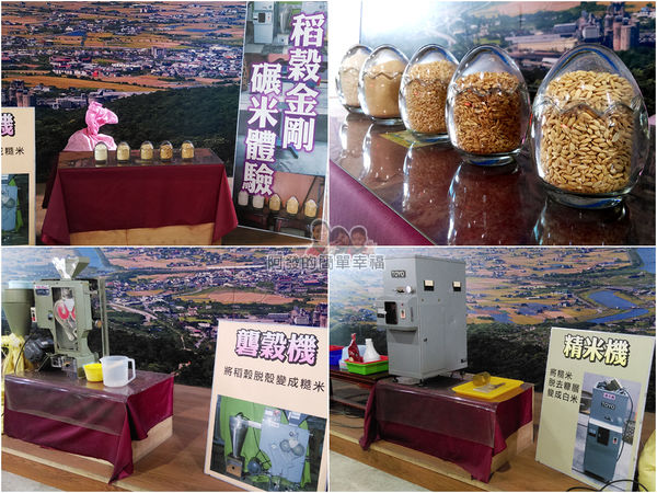 菇菇茶米館11-稻穀金剛碾米樂-稻穀變白米的過程