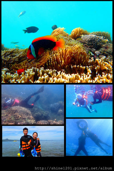 墾丁萬里桐浮潛 墾丁後壁湖浮潛 水到魚行潛水館