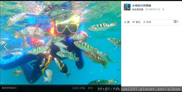 萬里桐潛水 後壁湖潛水 水到魚行浮潛館