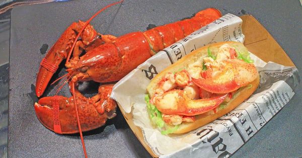 【台北美食】Le Kief 樂吉-1次吃整隻龍蝦的龍蝦三明治