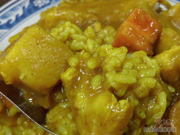 福珍排骨酥麵09-咖哩雞肉飯特寫