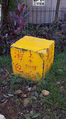 1263042_10153178649995375_874675135_o