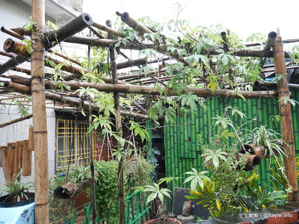 喜事集喜樹藝術聚落：宅女懶懶子＠灣裡黃金商圈+喜事集+黃金海岸台南旅遊 台南南區灣裡美食美景攻略～老街傳統小吃一日遊+無敵海景看到飽　