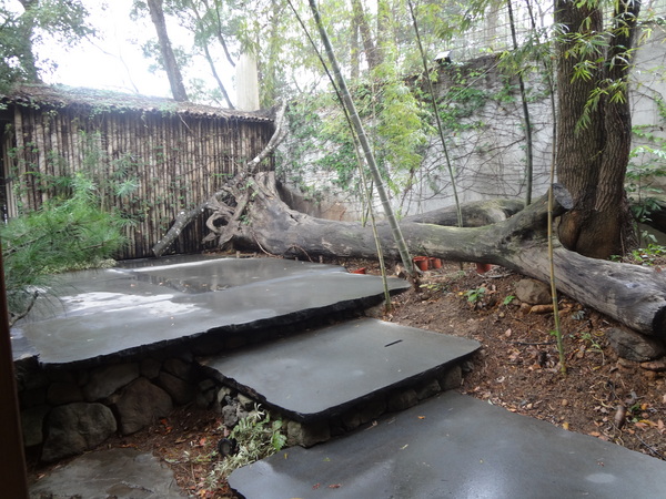 cm20130905___2efad127ff6cd18f01cd10e3a2f