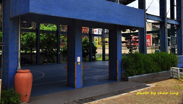 鳳鳴國中阿勃勒-21.JPG - 2016夏之豔陽(花季篇)