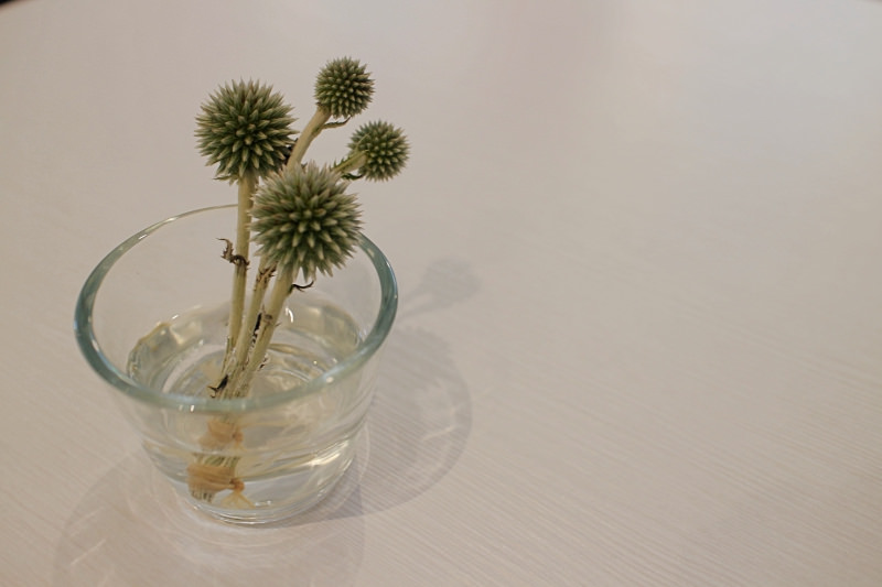 穿石 忠孝新生站