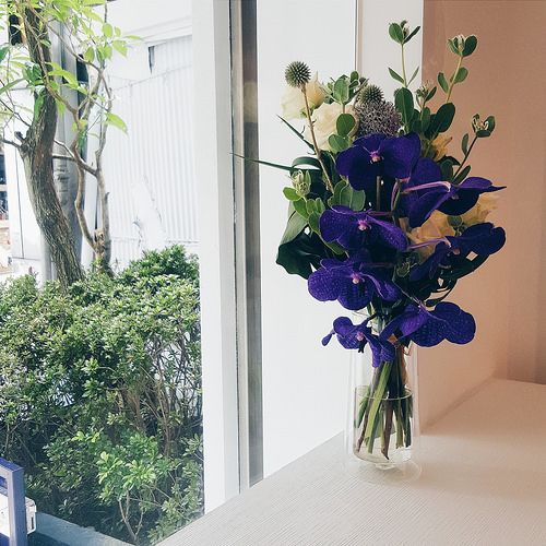 2016-07-24 03.37.21 1