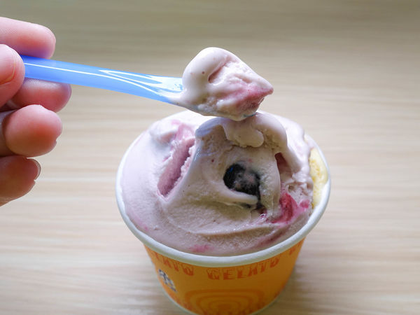 【桃園冰店】Mukydo 慕奇朵義式冰淇淋-讓人為之瘋狂！有著繽紛色彩和終極美味的義式手工冰淇淋．冰淇淋專賣店/消暑冰品/銅板美食/桃園中壢美食小吃