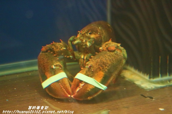 南寧饌精緻麻辣火鍋:【台北中山區】火鍋 熱炒 串燒 一應俱全『南寧饌精緻麻辣火鍋』中山區/吉林路/麻辣鍋宵夜好去處