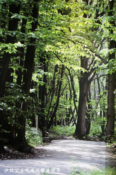 友你真好 小熊維尼特展:2016暑假親子展覽活動/迪士尼『小熊維尼展』捷運中正紀念堂站/友你真好