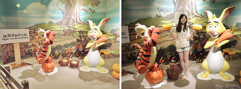 DSCN2365-1 (2000x744)