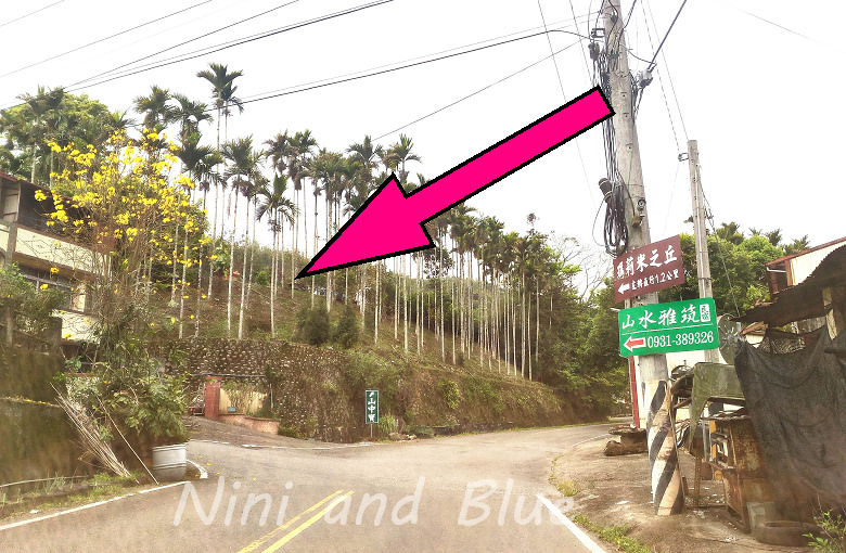 南投魚池埔里日月潭瑪莉米之丘婚紗照外拍旅遊景點47