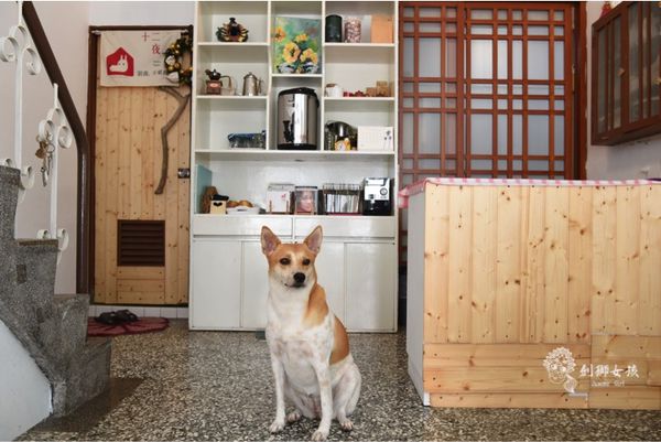 銅錢草茶屋寵物友善民宿 19.jpg