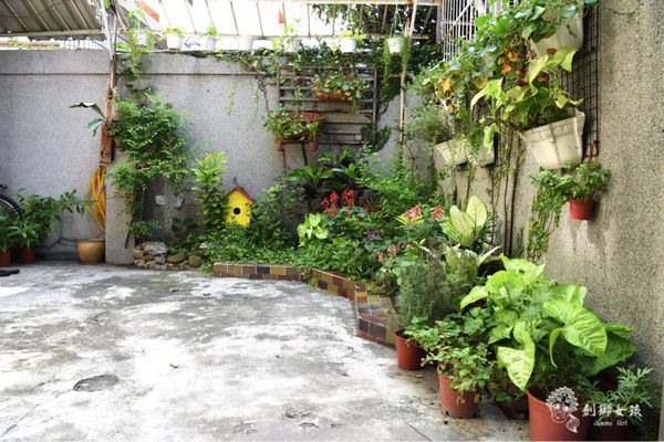 銅錢草茶屋寵物友善民宿 .jpg