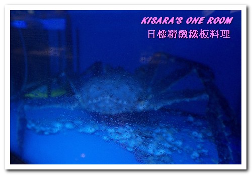 日橡精緻鐵板料理：台中七期鐵板燒．手法令人驚奇的色香味體驗──日橡精緻鐵板料理