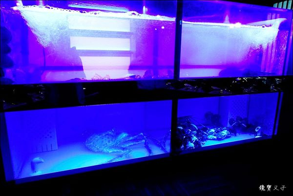 日橡精緻鐵板料理 (11).JPG