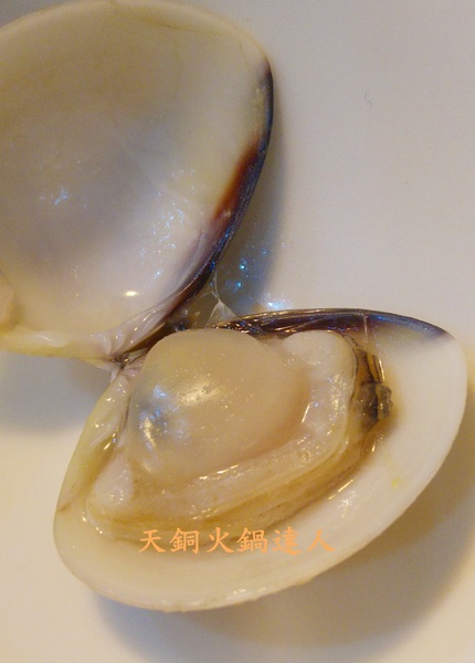 天銅火鍋達人:【台北美食】超優值平價海鮮總匯之天銅火鍋達人@南京復興站