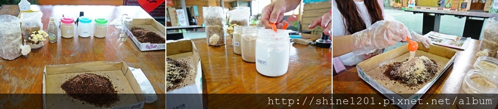 宜蘭冬山景點 菇菇茶米館 親子觀光工廠