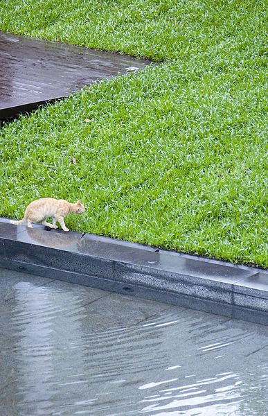 三二行館白蘆筍午餐2014 -27