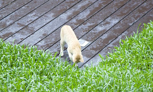 三二行館白蘆筍午餐2014 -28