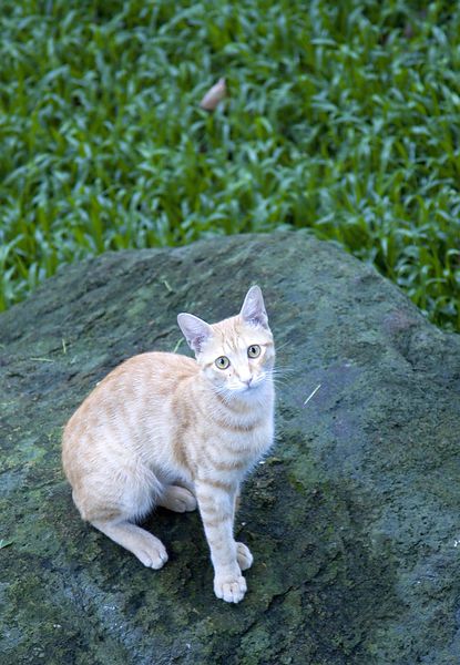 三二行館白蘆筍午餐2014 -20