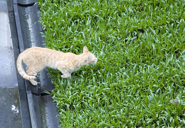 三二行館白蘆筍午餐2014 -22