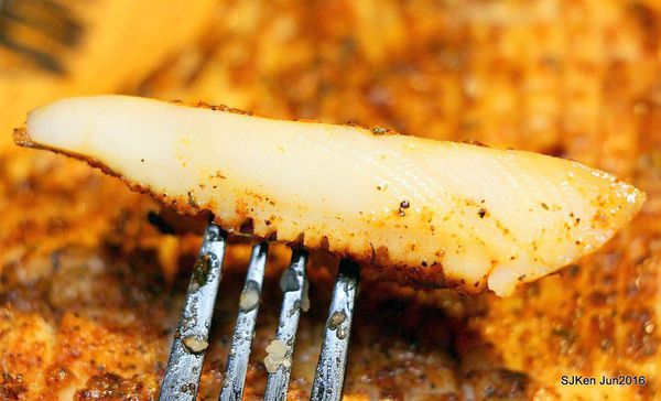 67-棧 F-U Kitchen直火炭烤76.jpg