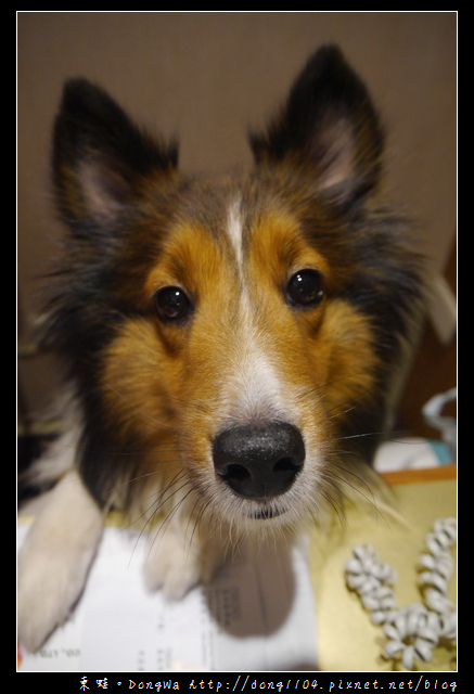 【新竹食記】竹北日式料理|充滿手作溫暖的日本定食|栗茶屋